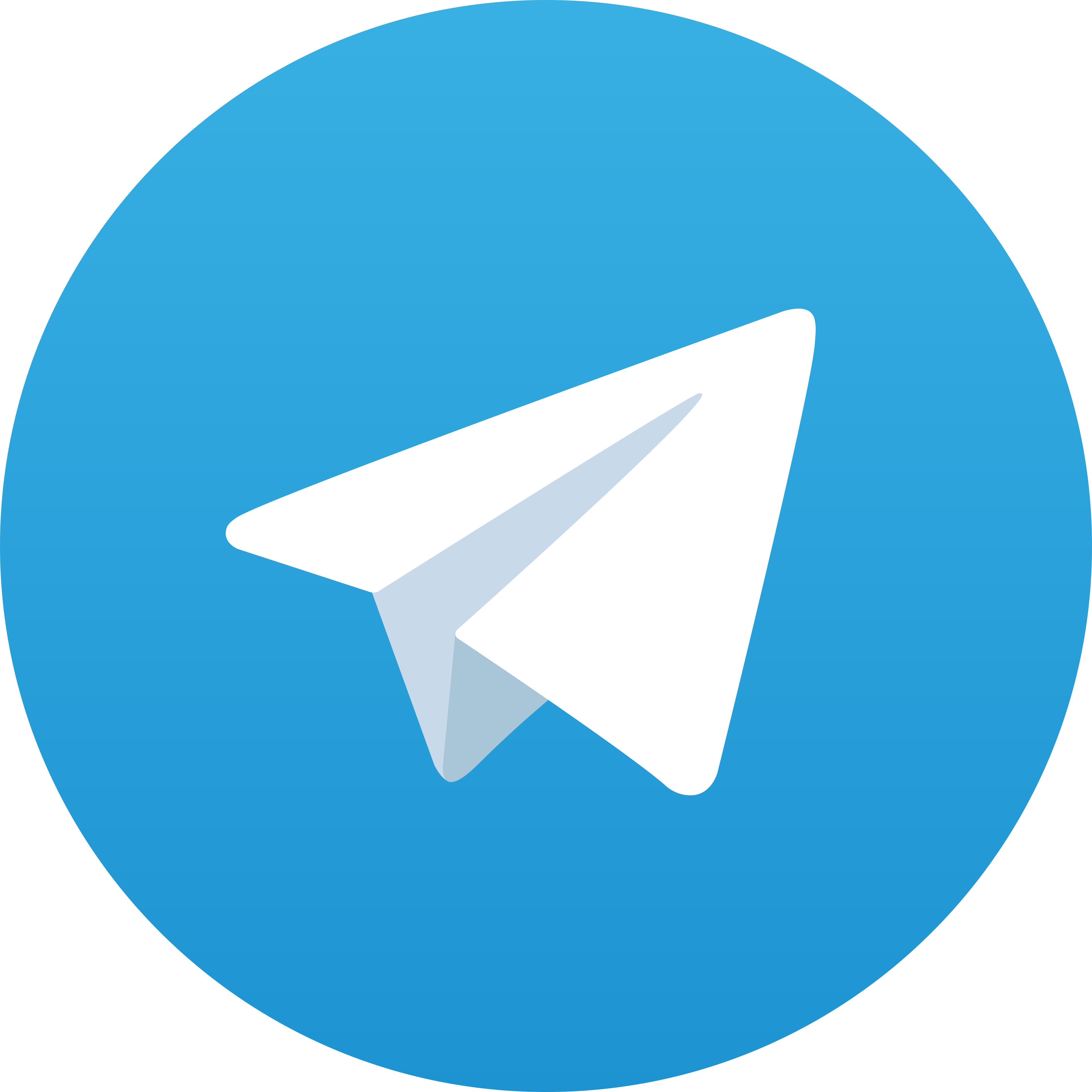 Telegram CAGURTOTO